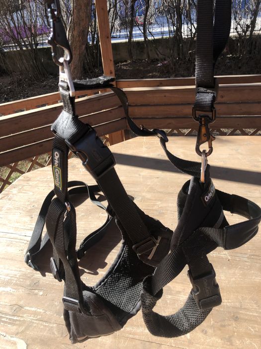 Ham pt. catei cu displazie de sold sau artrita