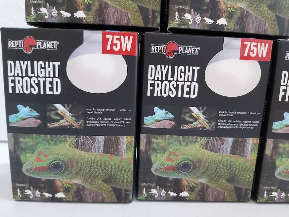 Крушка за терариум DAYLIGHT FROSTED