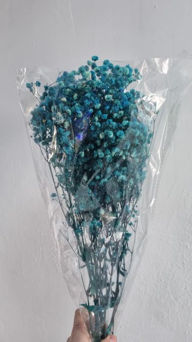 Сухоцветы / Гипсофилы букет