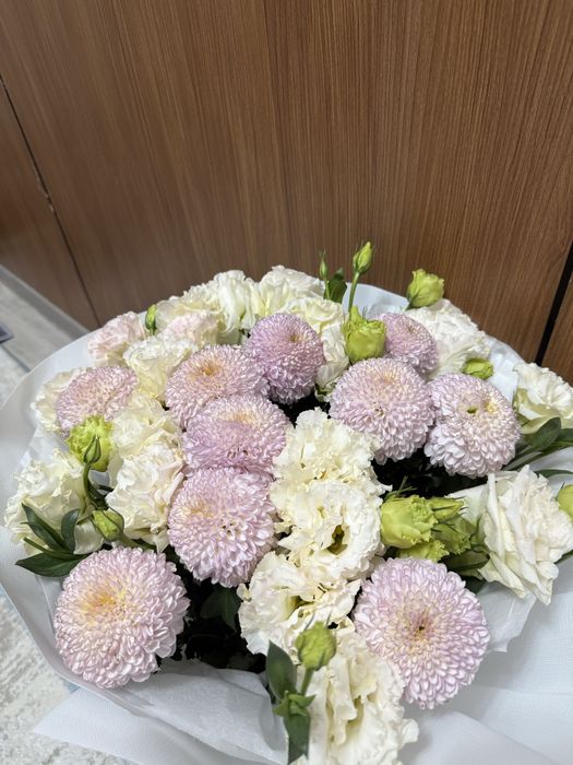 Свежи гул жана келган