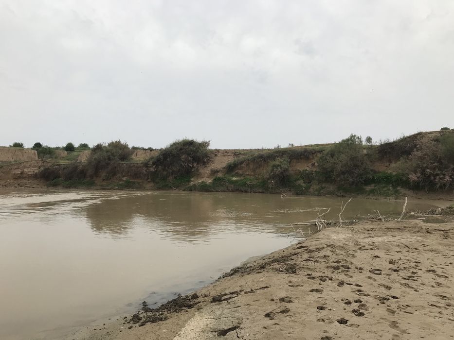 Продается отличный дом с участком