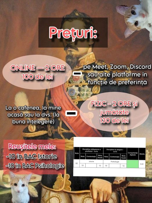 Meditatii istorie pentru BAC