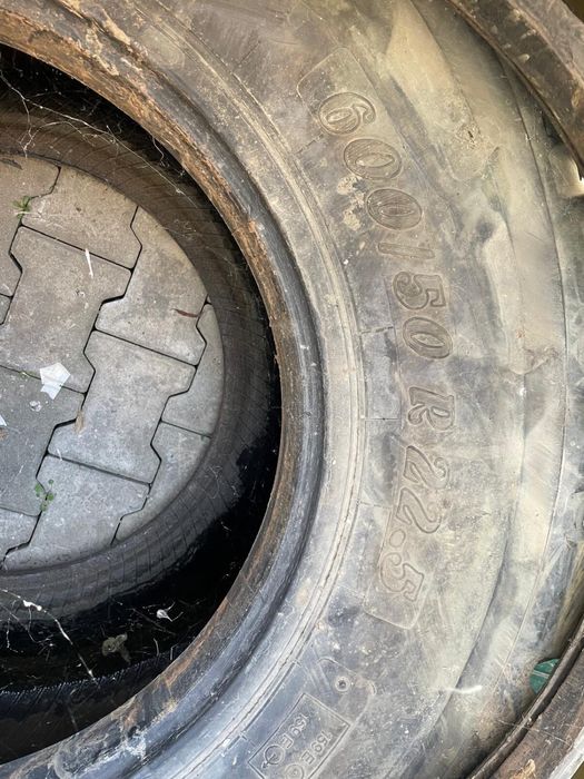 cuciucuri de vanzare