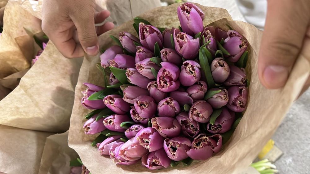 Продам цветы на 8 марта