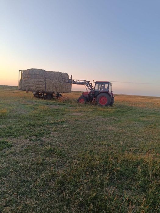 Продам хозяйство, лашадей