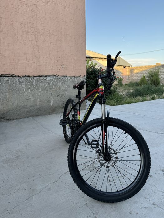 велик жағдаиы жақсы