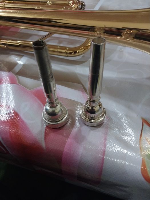 Труба. Truba arginal