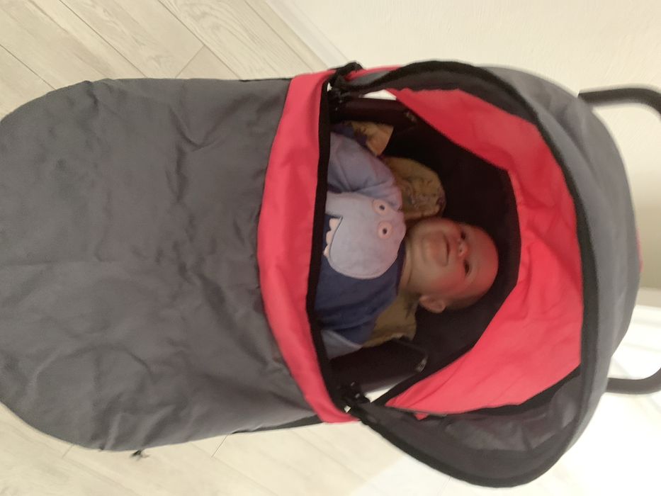 Реборн с коляской