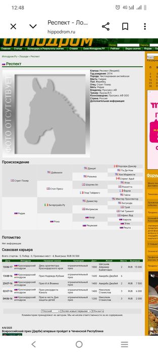 Таза қан тай сатылады