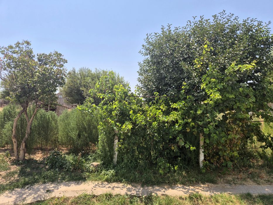 Уй сатылады бағасы 800000