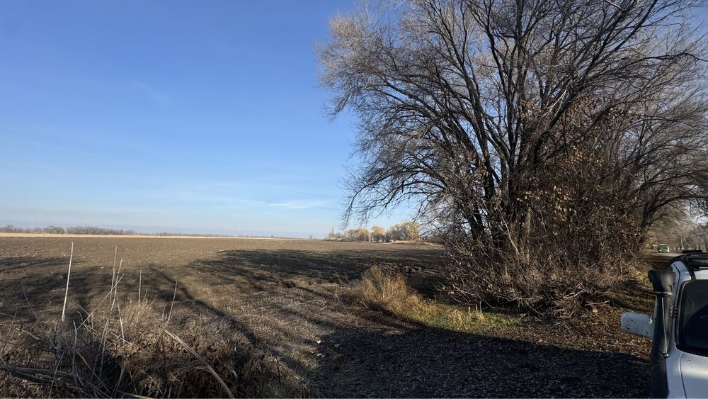 Продам крестьянское хозяйство