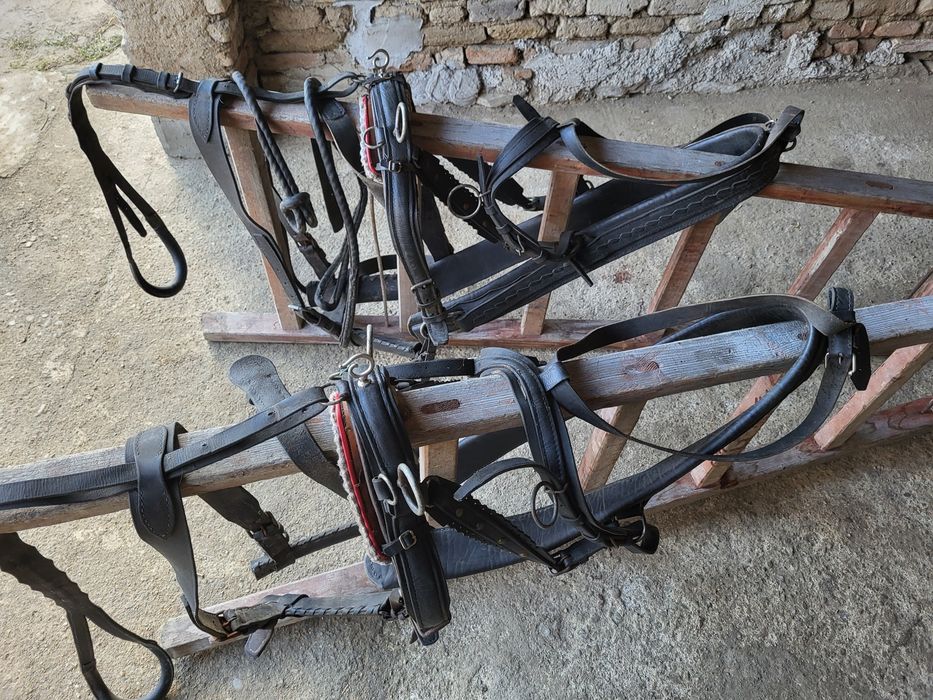 Vand o pereche de ham