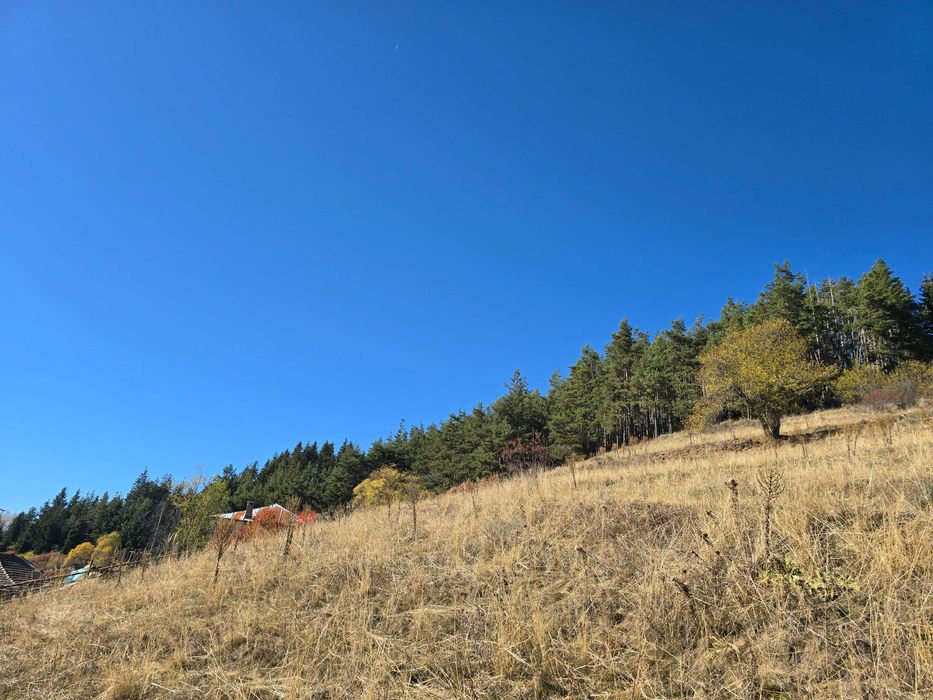 Продава се Къща в к.к. Пампорово - 160 кв.м за 269 €/кв.м - Снимка #11