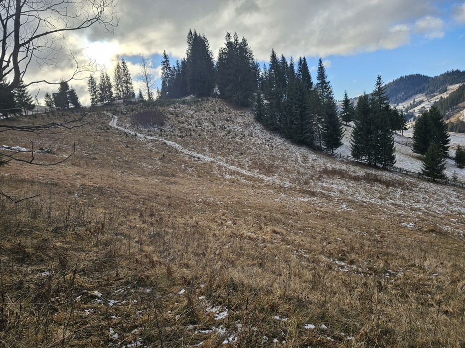 Teren de vanzare in Bucovina Comuna Breaza