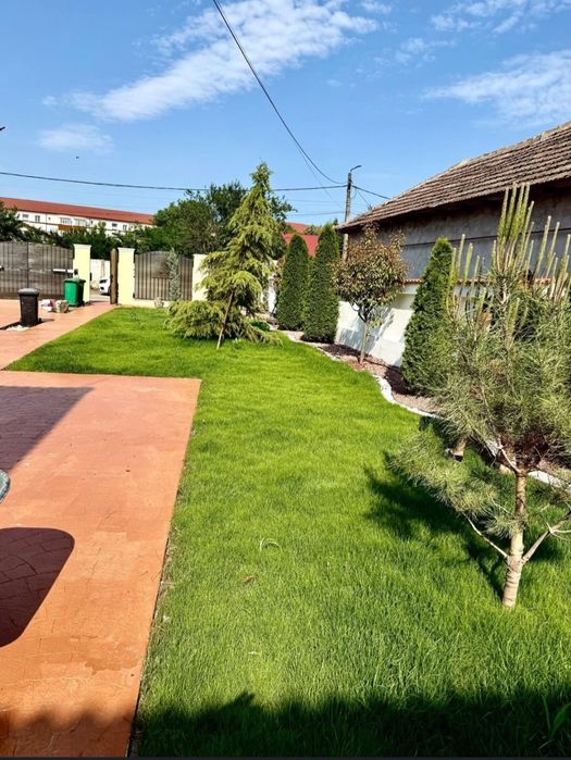 Amenajari spații verzi