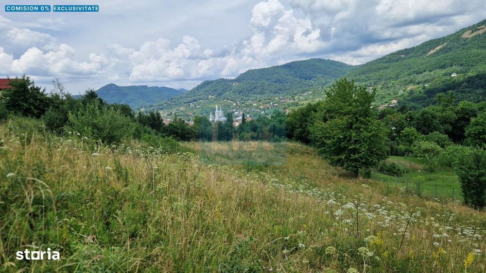 Teren de vanzare in Baia Sprie: 52 Ari, Parcelabil, Comision 0%