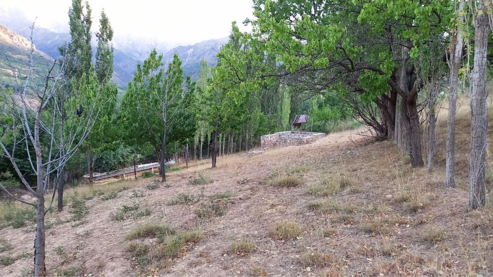 Юсуфхонада дача учун ер сотилади.