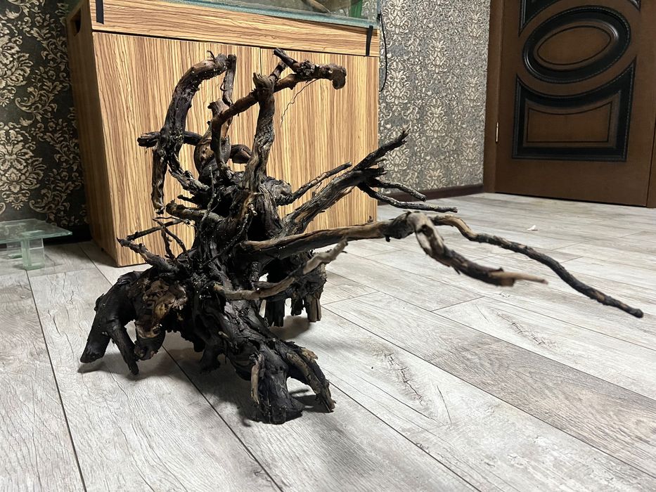 Коряга азалия в аквариум