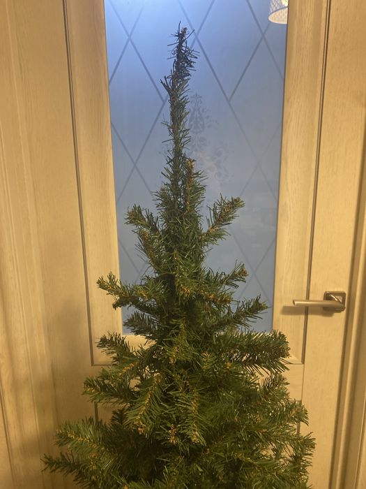Продам елку 1.50