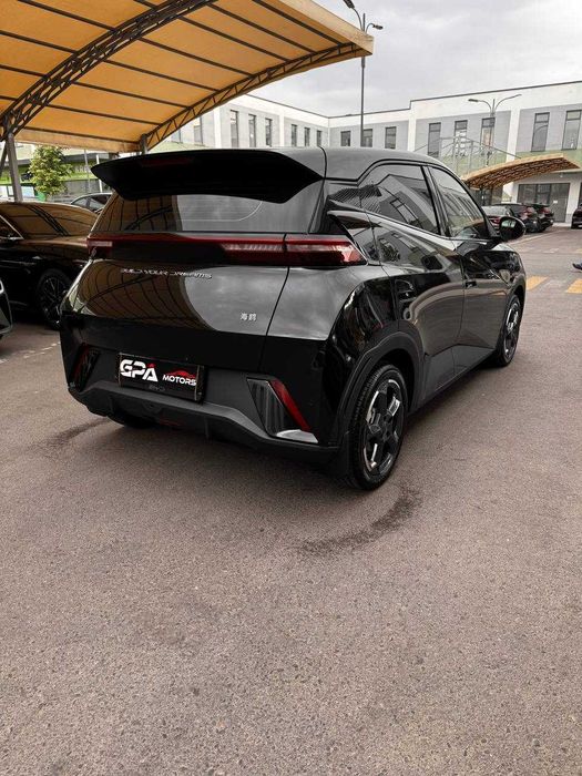 BYD SEAGULL  FULL 2023й краска тозза