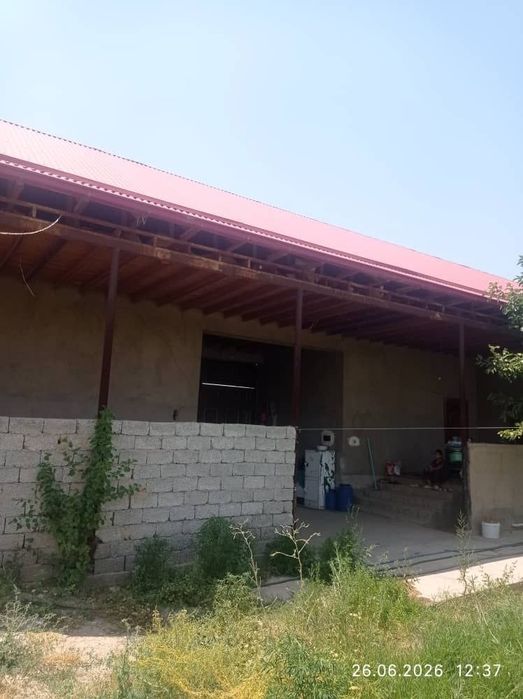 Уй сотилади сурхондарйо