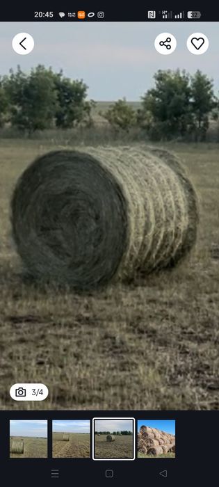 Сено в рулонах 230 - 250 кг