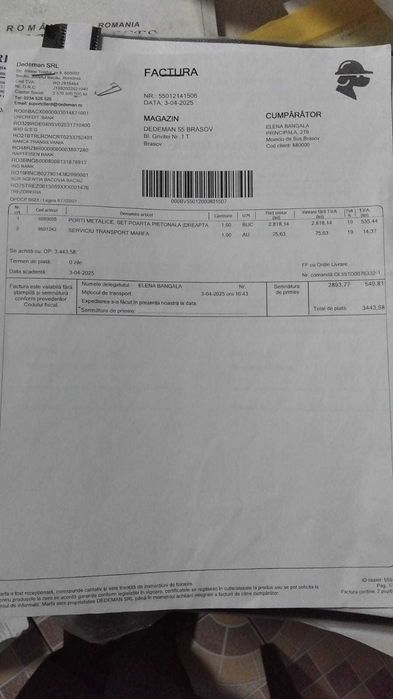 Poarta intrare curte