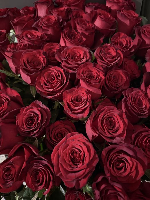 Голландские розы (1м, шт-69)