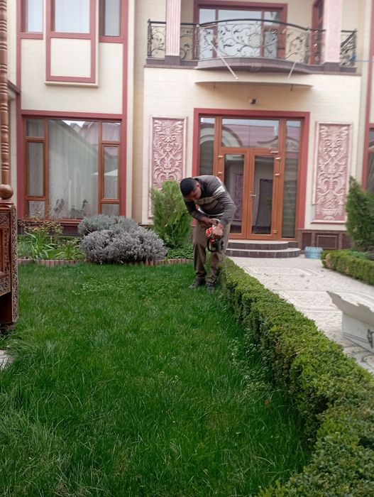 Archa kesish dorilash agranom