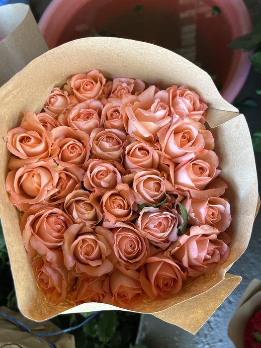 Atirgul gunchalari bor