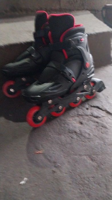 Ro'lik tryukoviy brend bussed