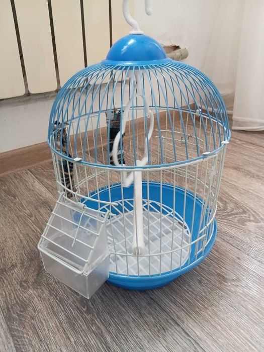 Құсқа арналған тор (жағдайы жақсы)