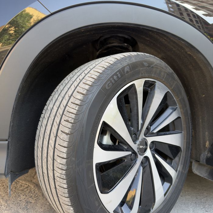 Byd champion gibrid 110