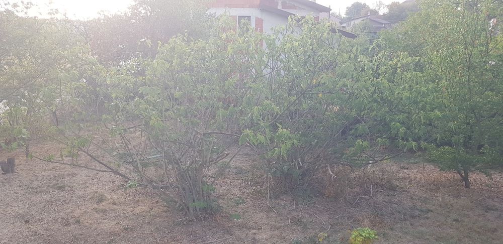 Продава се Къща в с. Карали, Област Габрово - 180 кв.м за 1056 €/кв.м - Снимка #6