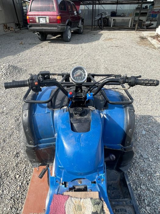 Квадрацыкл на полном ходу