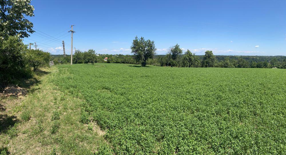Proprietar, Vand teren intravilan 16600 mp, parcelabil, Comuna Cocu, Arges
