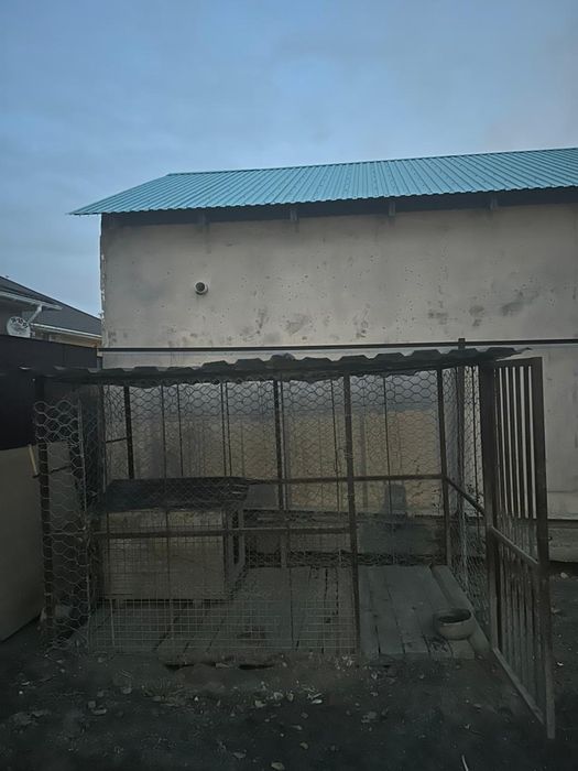 Вольер для собаки