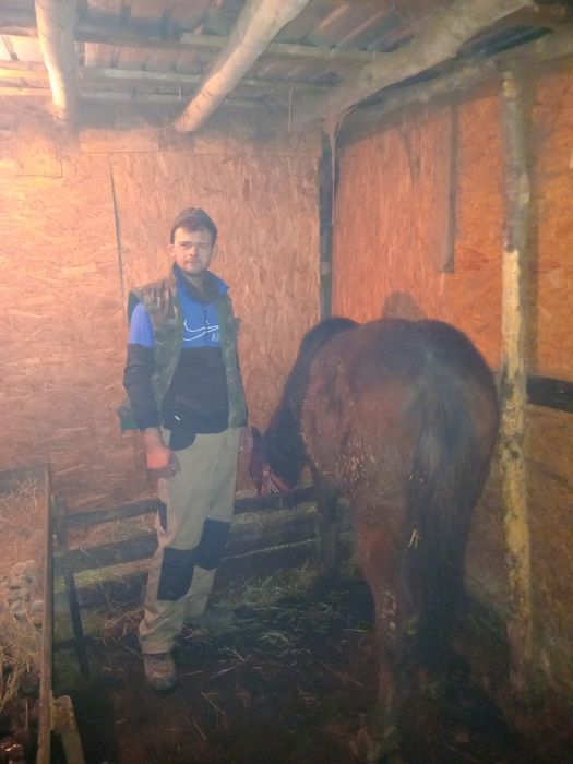 Vand manz pe 8 acum ln martie face un an