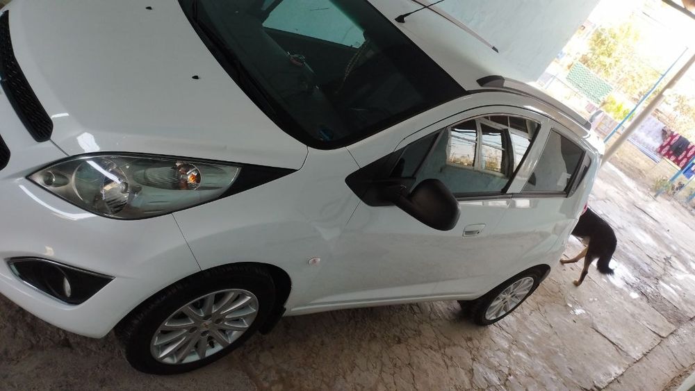 Navarotlari kobilt diska arginali archa balonlari bilan gazi bor