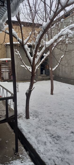 Uyim Zargar maxallasi Zarli kochasi 162a uy