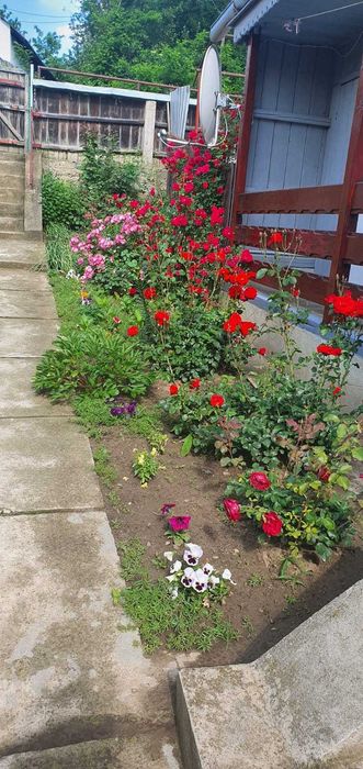 Casa de vănzare in com Preutesti, sat Manastioara jud Suceava