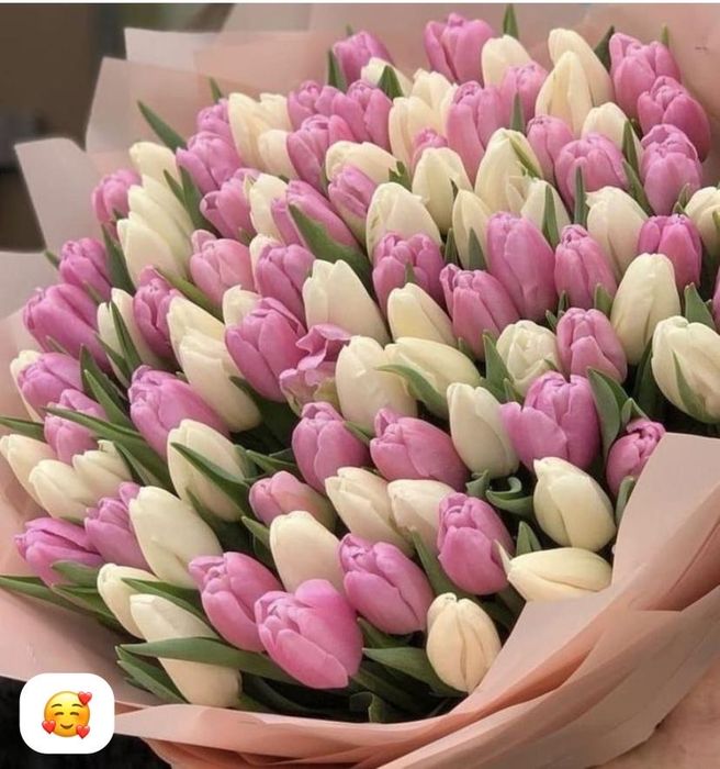 Свежие Тюльпаны оптом и в розницу