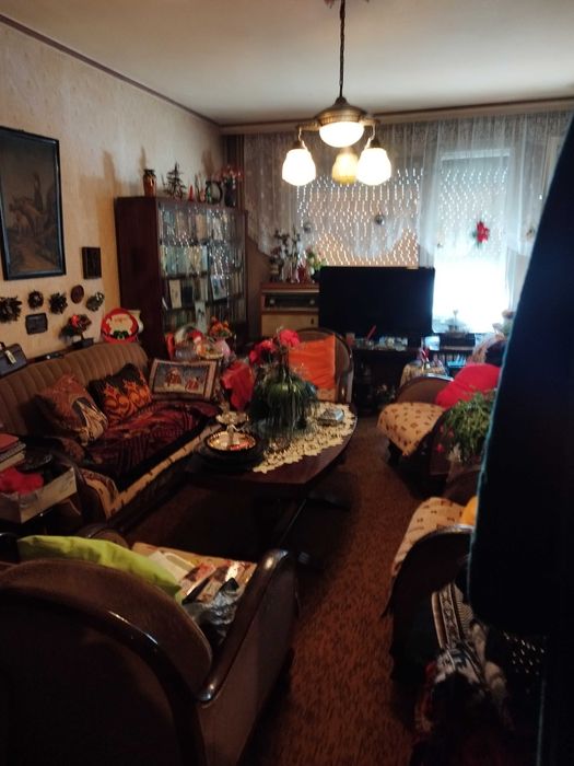 ТРИСТАЕН, Градска градина