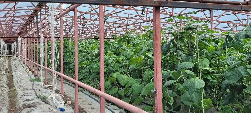 Продам теплицу в Рудном рассмотрю варианты