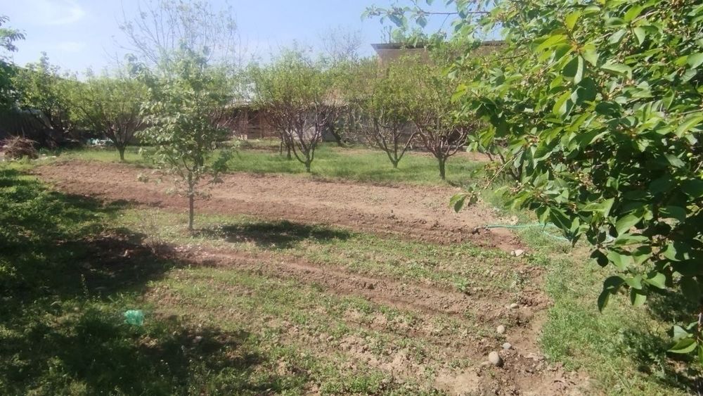 Продается Земля. Хасанбой Кенсой