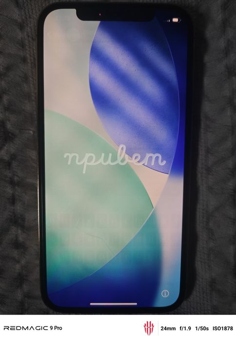 iPhone 12 pro max