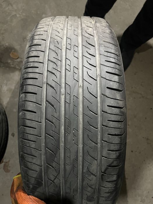 BVD Chempion deska balon masla