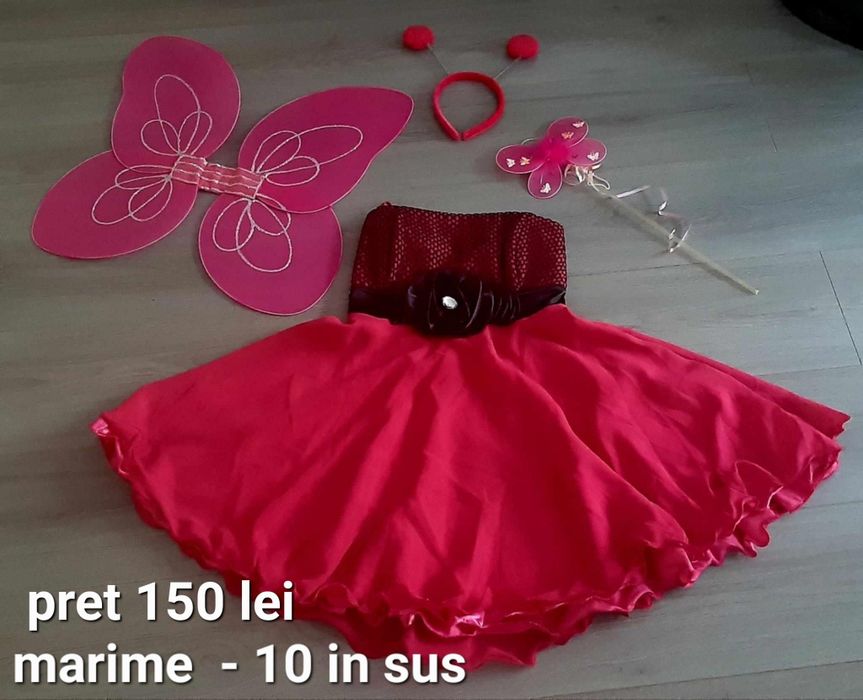 Costume de : albinuțe,  buburuze și fluturași