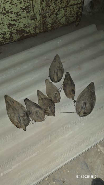 Приманка для охоты утки утка