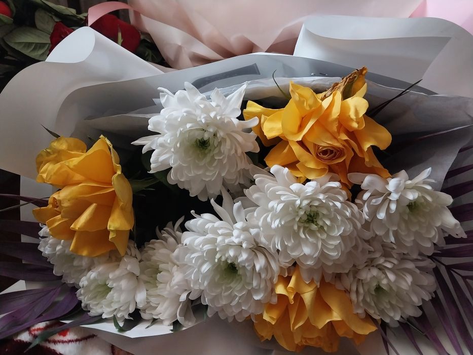 Цветы разный продам